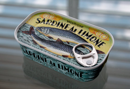 united colors of sardine