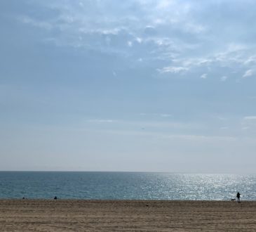 Dalla cerveza all'isolamento