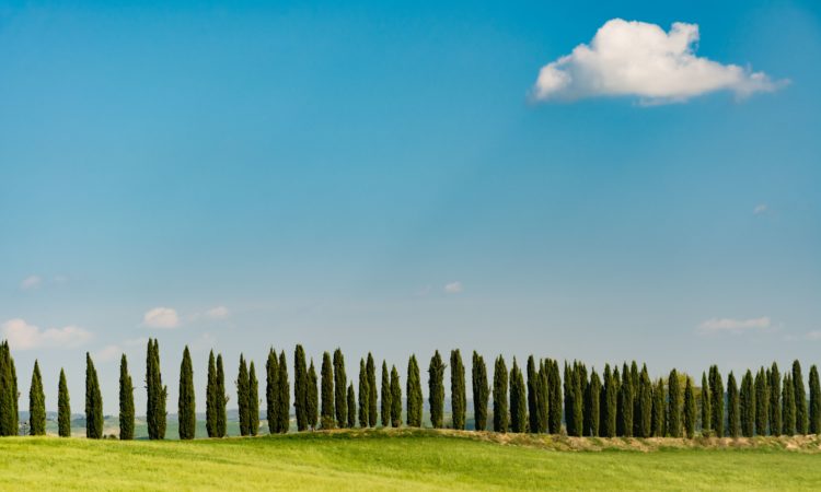 vie del gusto in Italia