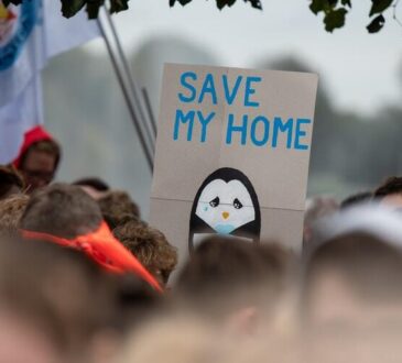 Fridays For Future Italia