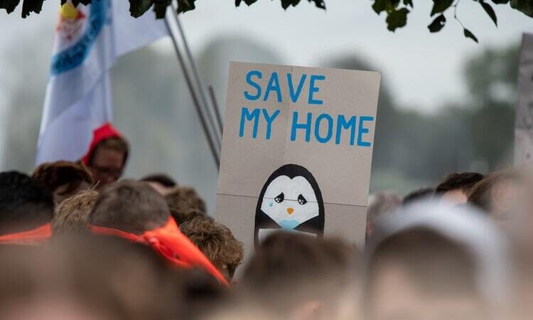 Fridays For Future Italia