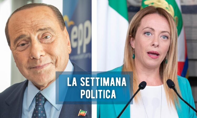 meloni